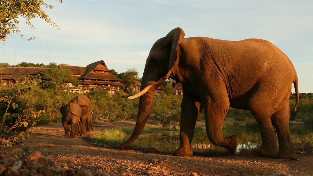 Victoria Falls Safari Suites Экстерьер фото